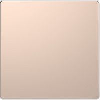 Заглушка без рамки Schneider Electric Merten D-Life шампань картинка